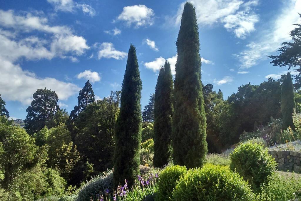 Bed and Breakfast Restview Dunedin Exteriér fotografie