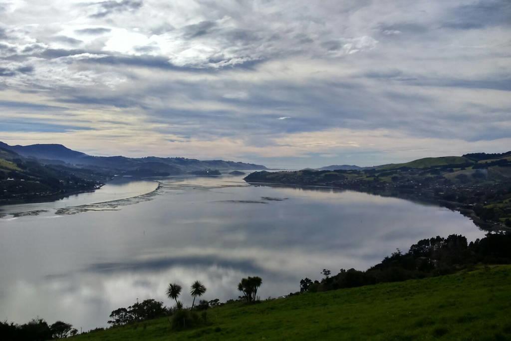 Bed and Breakfast Restview Dunedin Exteriér fotografie